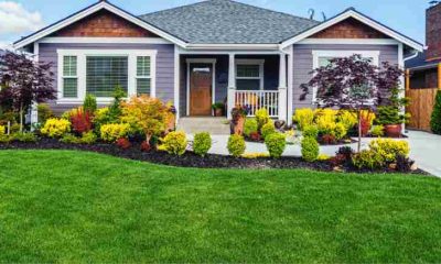 Transform Your Lawn with Professional Artificial Turf Installation in San Diego