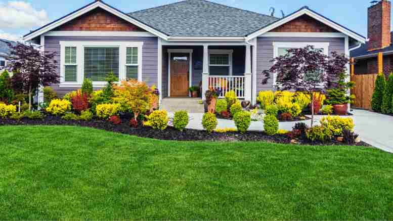 Transform Your Lawn with Professional Artificial Turf Installation in San Diego